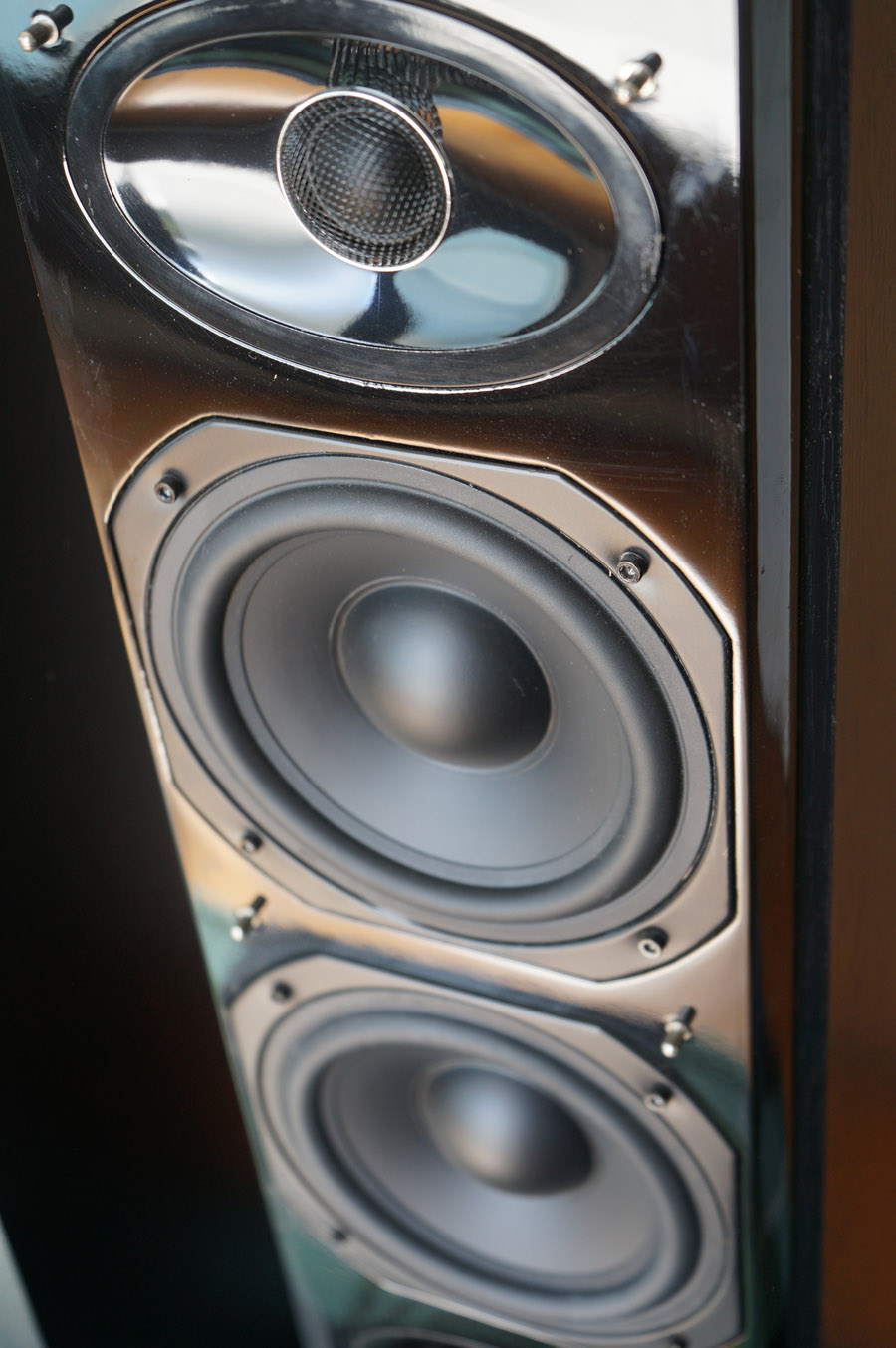 DB Dynamics Polaris 366F Floor Speakers  picture 5