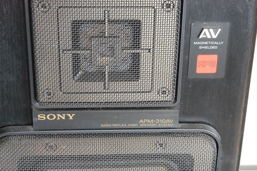 Sony APM 310 AV Compact Speakers